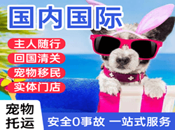 吴圩机场托运国际宠物托运 【国